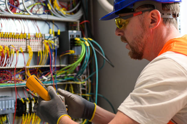 Best Electric Panel Repair  in Holly Springs, GA
